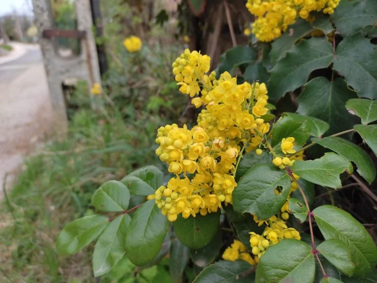 Xiaomi Redmi Note 10 okostelefon teszt 50