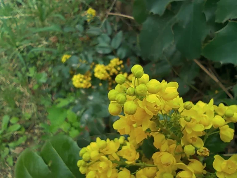 Xiaomi Redmi Note 10 okostelefon teszt 51