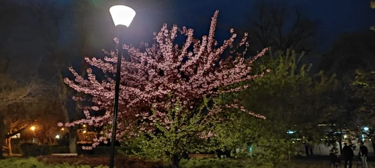 Xiaomi Redmi Note 10 okostelefon teszt 64