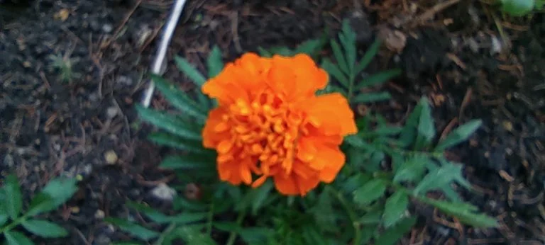 Xiaomi Redmi Note 10 okostelefon teszt 66