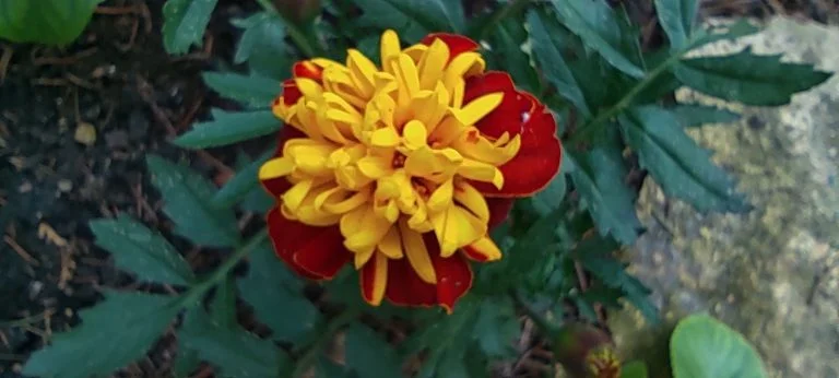 Xiaomi Redmi Note 10 okostelefon teszt 67