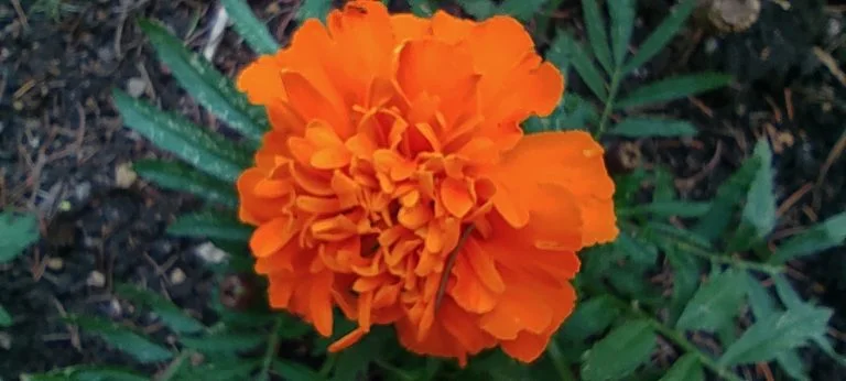 Xiaomi Redmi Note 10 okostelefon teszt 68