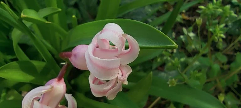 Xiaomi Redmi Note 10 okostelefon teszt 70