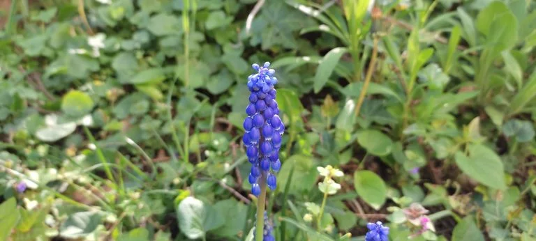 Xiaomi Redmi Note 10 okostelefon teszt 71