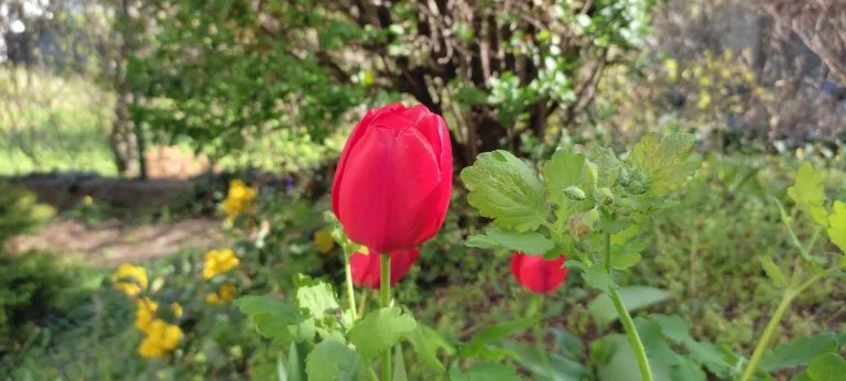 Xiaomi Redmi Note 10 okostelefon teszt 72