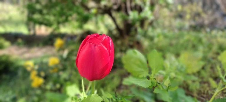 Xiaomi Redmi Note 10 okostelefon teszt 73