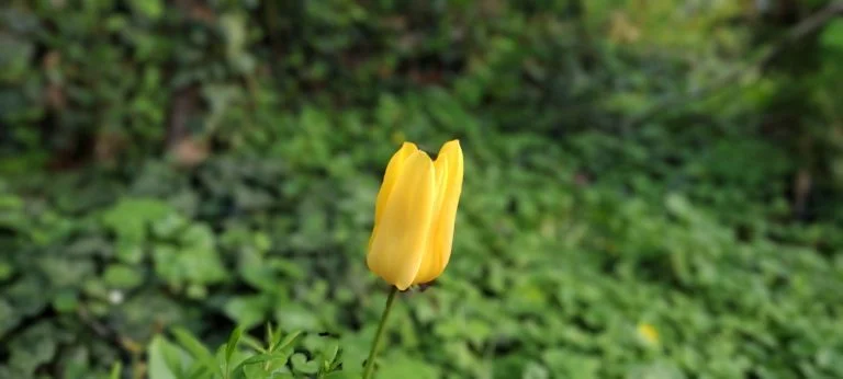 Xiaomi Redmi Note 10 okostelefon teszt 74