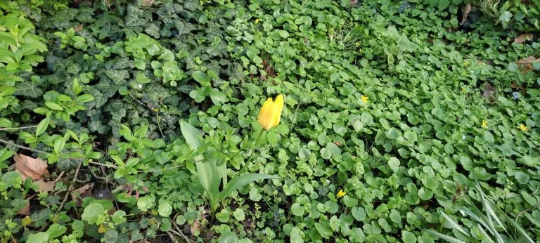 Xiaomi Redmi Note 10 okostelefon teszt 75