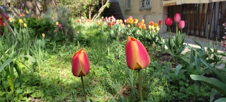 Xiaomi Redmi Note 10 okostelefon teszt 76