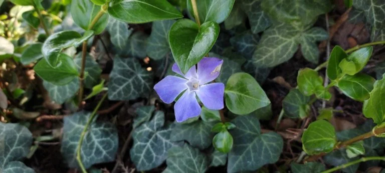 Xiaomi Redmi Note 10 okostelefon teszt 79