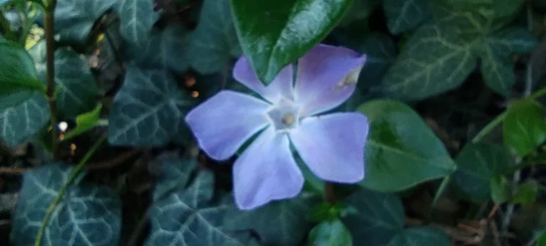 Xiaomi Redmi Note 10 okostelefon teszt 80