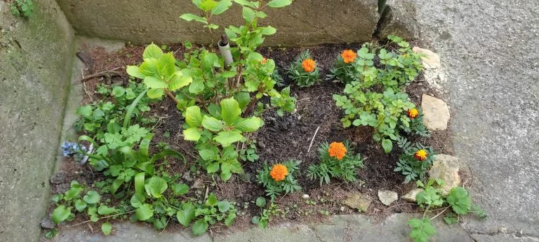 Xiaomi Redmi Note 10 okostelefon teszt 81