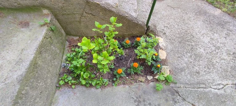 Xiaomi Redmi Note 10 okostelefon teszt 82