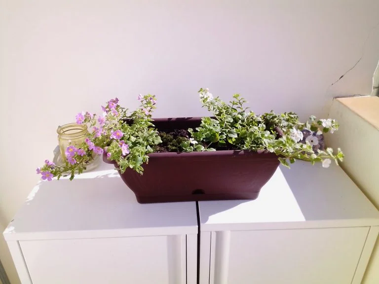 Alldocube iPlay 40 tablet teszt 34