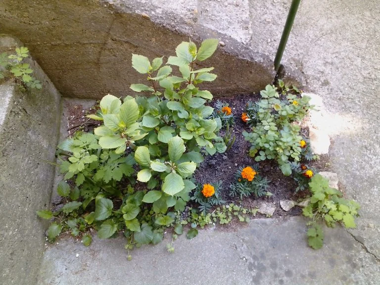 Alldocube iPlay 40 tablet teszt 36