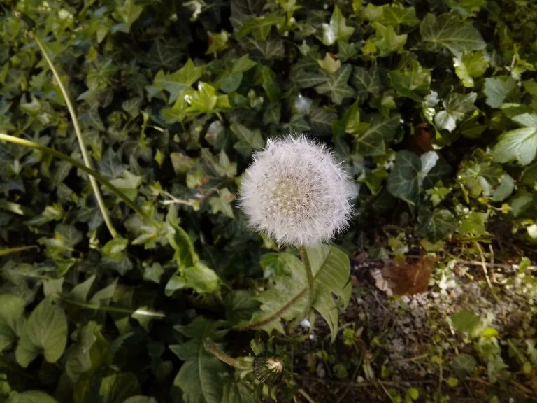 Alldocube iPlay 40 tablet teszt 37