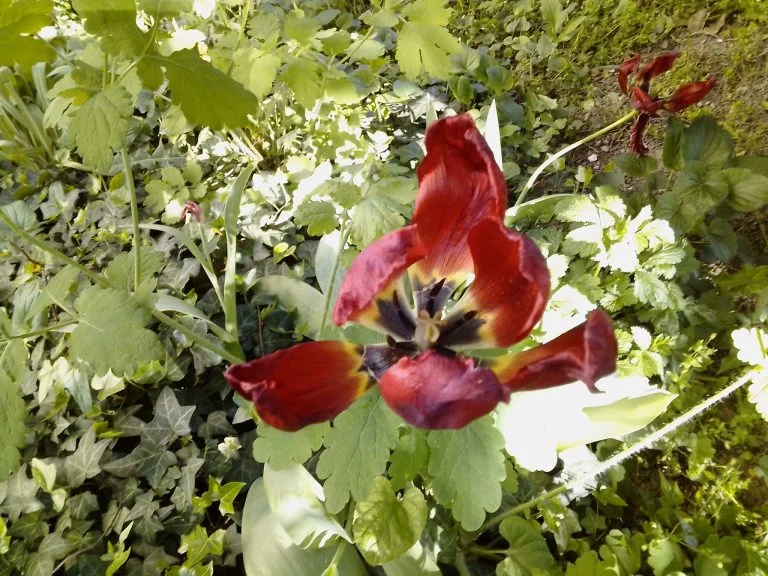 Alldocube iPlay 40 tablet teszt 38