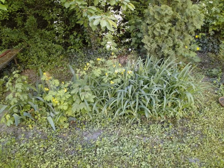 Alldocube iPlay 40 tablet teszt 39