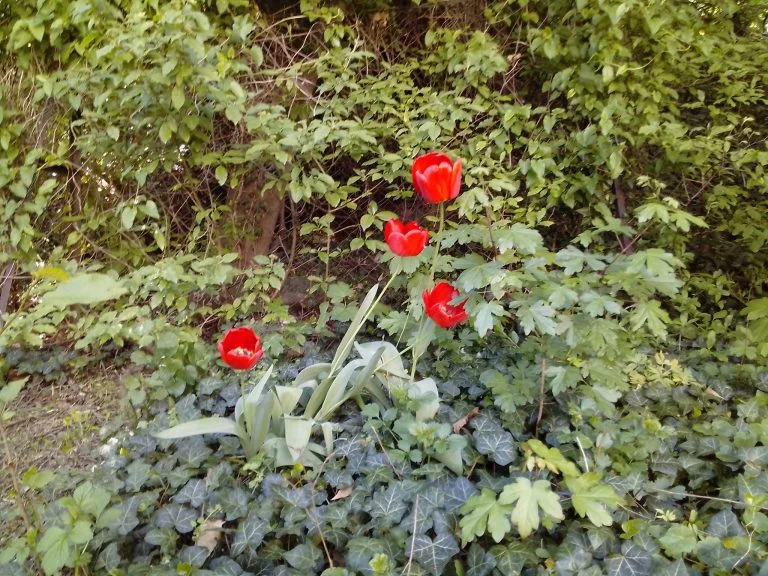 Alldocube iPlay 40 tablet teszt 40