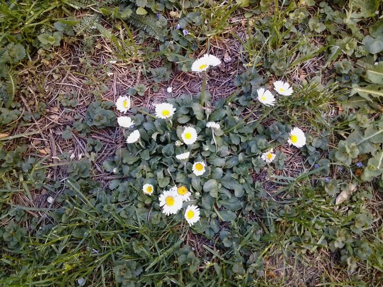 Alldocube iPlay 40 tablet teszt 42