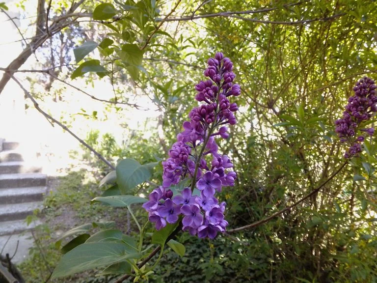 Alldocube iPlay 40 tablet teszt 43