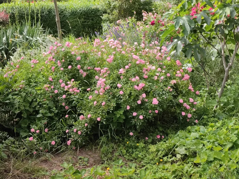 Xiaomi Mi 11i okostelefon teszt 40