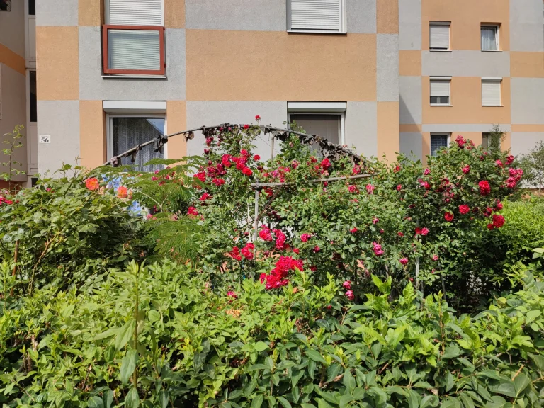 Xiaomi Mi 11i okostelefon teszt 41