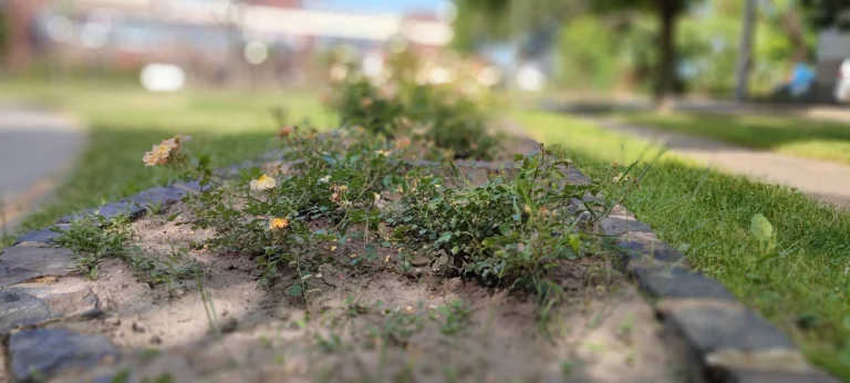 Xiaomi Mi 11i okostelefon teszt 46