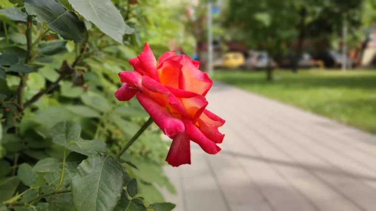 Xiaomi Mi 11i okostelefon teszt 52