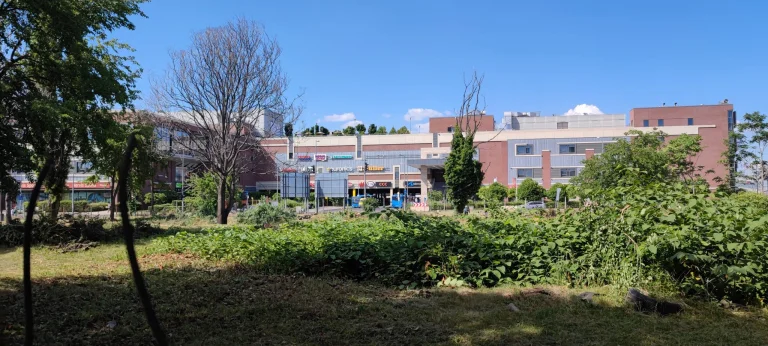 Xiaomi Mi 11i okostelefon teszt 65