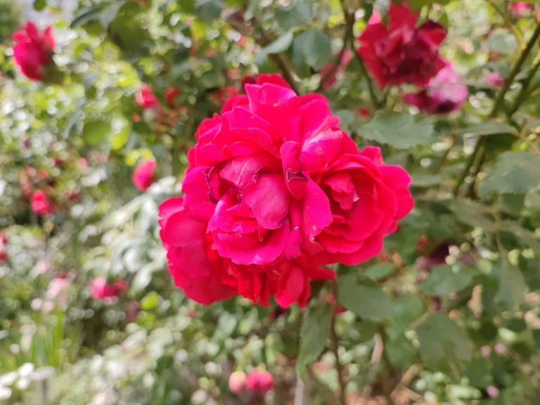 Xiaomi Mi 11i okostelefon teszt 69