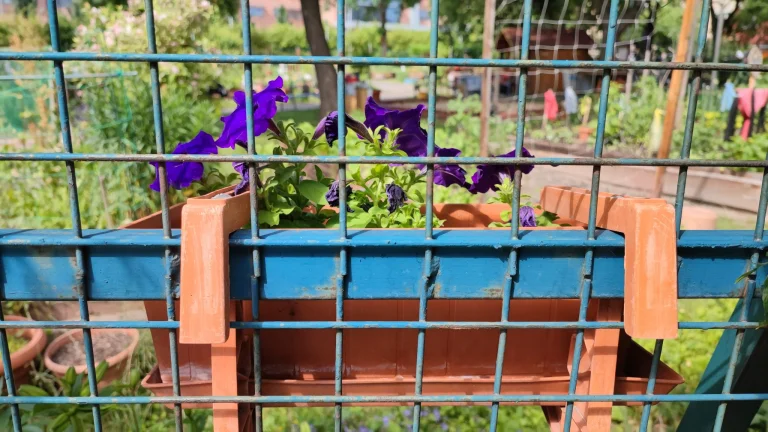 Xiaomi Mi 11i okostelefon teszt 62