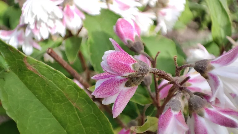 Xiaomi Mi 11i okostelefon teszt 72