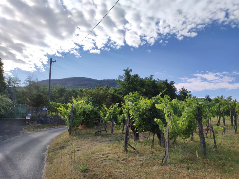 Xiaomi Mi 11 Lite okostelefon teszt 29