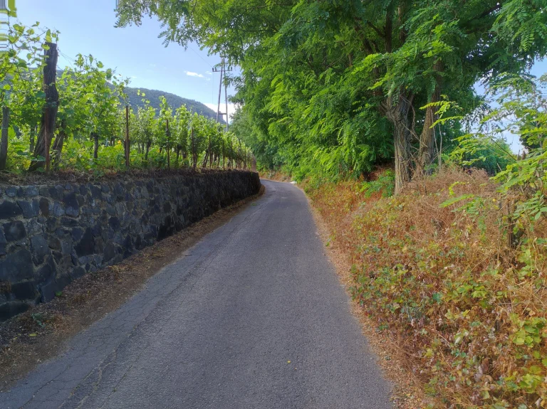 Xiaomi Mi 11 Lite okostelefon teszt 30