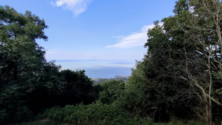 Xiaomi Mi 11 Lite okostelefon teszt 45