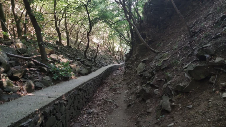 Xiaomi Mi 11 Lite okostelefon teszt 53