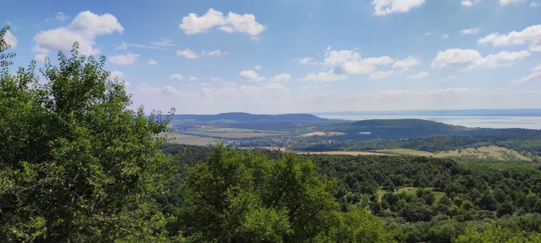 Xiaomi Mi 11 Lite okostelefon teszt 68