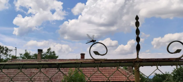 Xiaomi Mi 11 Lite okostelefon teszt 79