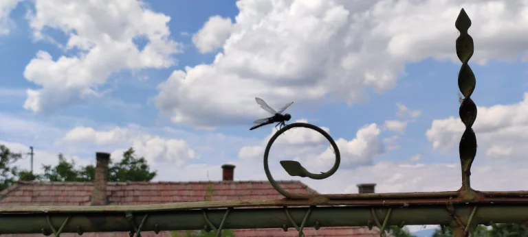 Xiaomi Mi 11 Lite okostelefon teszt 80