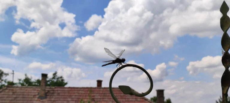 Xiaomi Mi 11 Lite okostelefon teszt 81