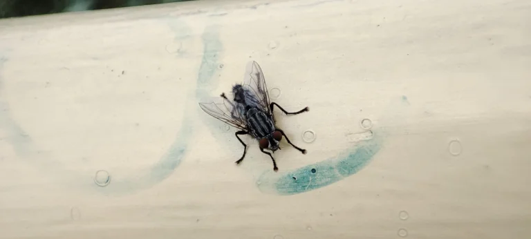 Xiaomi Mi 11 Lite okostelefon teszt 83