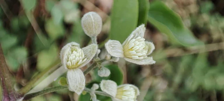 Xiaomi Mi 11 Lite okostelefon teszt 86