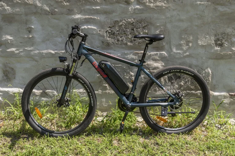 Eleglide M1 elektromos kerékpár teszt 5