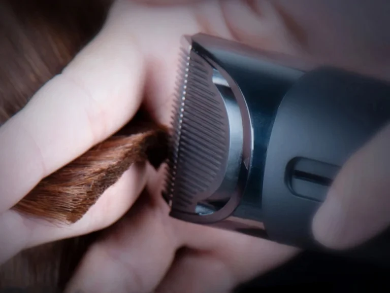 Kiemelkedő akcióban vásárolható a Xiaomi új borotvája 8