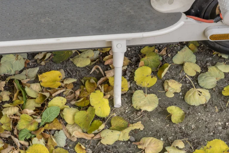 Nagy roller kérdőív 7