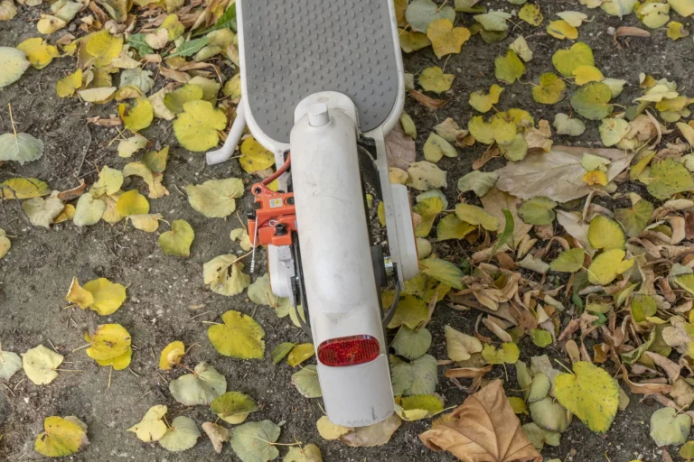 Nagy roller kérdőív 11