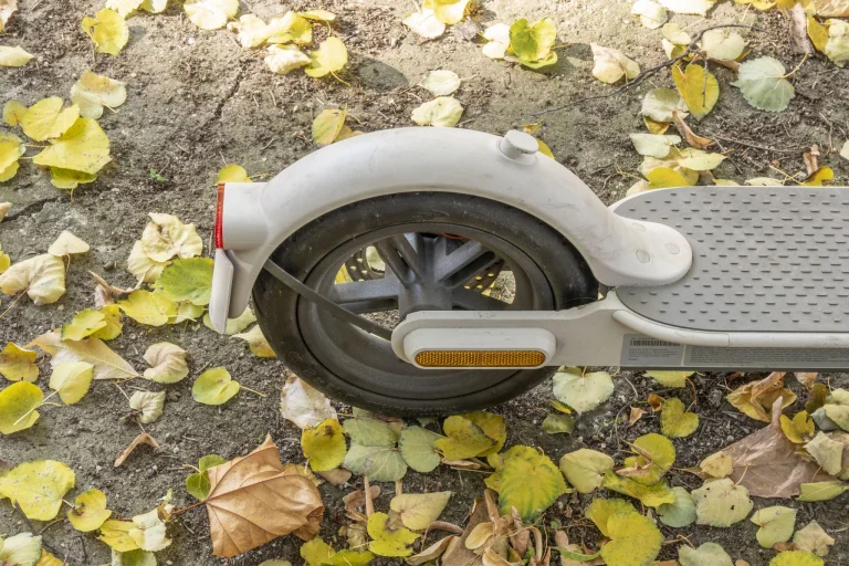 Nagy roller kérdőív 12