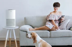 22 000 alatt vihető a BlitzHome egyik légtisztítója