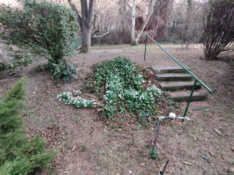 Redmi Note 11 okostelefon teszt 35